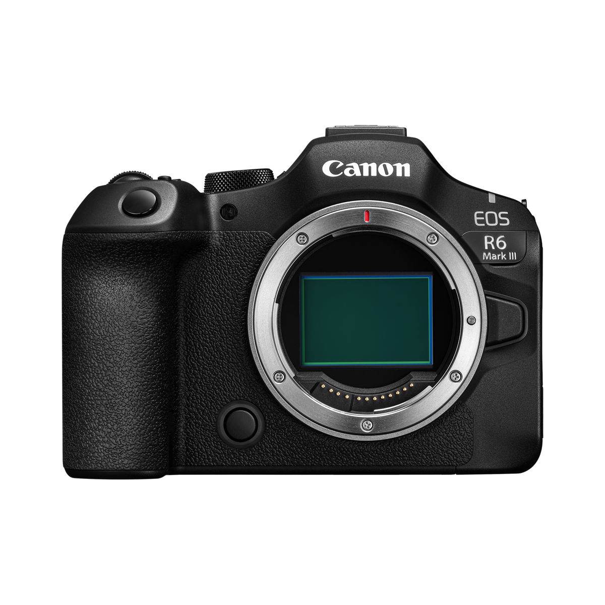 Canon EOS R6 Mark III camera body